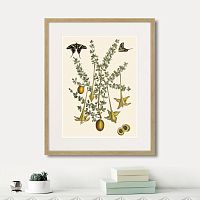 картина: juicy fruit lithography №1, 1870г. во Владимире