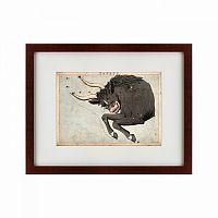 картина: signs of zodiac taurus, 1825 во Владимире
