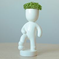набор для выращивания eco футболист во Владимире