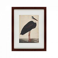 картина: black stork in a landscape, индия, 1780 во Владимире
