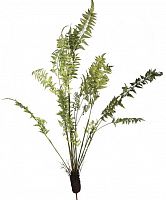 декор fern plant во Владимире
