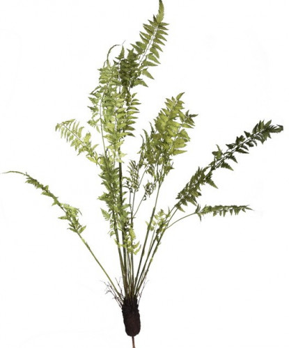 декор fern plant во Владимире