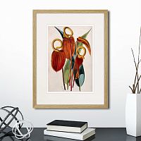 картина: exotic plants of the world №15, 1815г. во Владимире