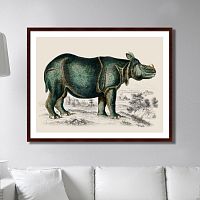 картина: rhinoceros, 1774г. во Владимире