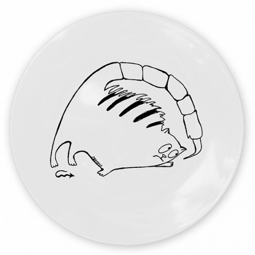 кот-скорпион во Владимире