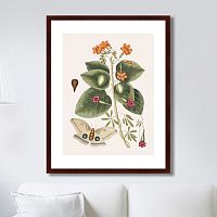 картина: beauty bloom №4, 1732г. во Владимире