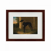 картина: portrait of a greyhound called pompon, 1746 во Владимире