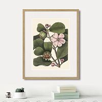 картина: balsam tree with pink flower, 1741г. во Владимире