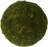 декор moss sun во Владимире