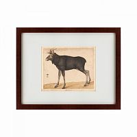 картина: moose, 1560 во Владимире
