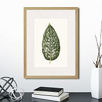 картина: single leaf of a plant №1, 1865г. во Владимире