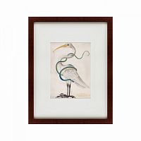 картина: heron encircled by a snake, 1700 во Владимире