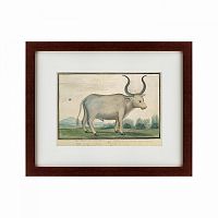 картина: cape ox, 1778 во Владимире