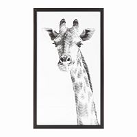 постер giraffe черный во Владимире