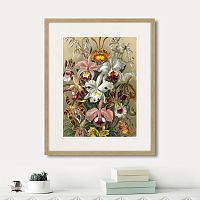картина: art forms of nature №6, 1897г. во Владимире