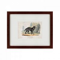 картина: a caracal or lynx, 1830 во Владимире