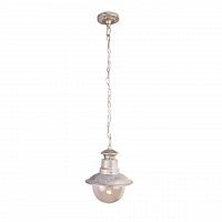 уличный подвесной светильник arte lamp amsterdam a1523so-1wg во Владимире