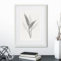 картина: the fern collection №6 во Владимире