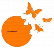 часы настенные оранжевые бабочки butterfly во Владимире